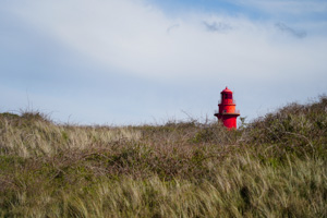 679 - Cayeux-sur-Mer 1